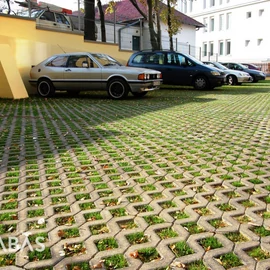 BARABÁS Gyephézagos