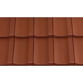 Creaton Cantus borvoros